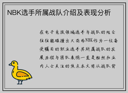NBK选手所属战队介绍及表现分析