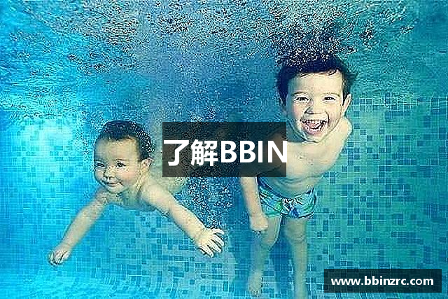 了解BBIN